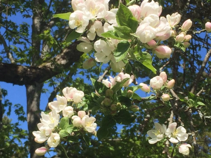 zobacz camping - zdjęcie 16