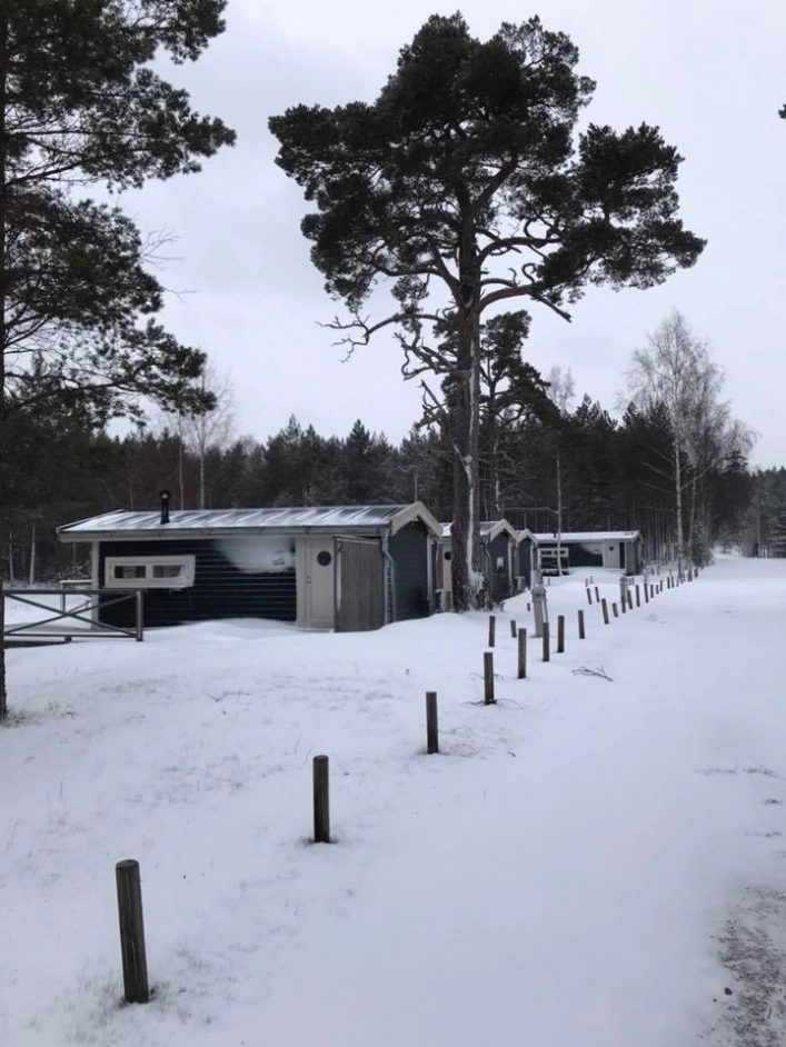 zobacz camping - zdjęcie 12