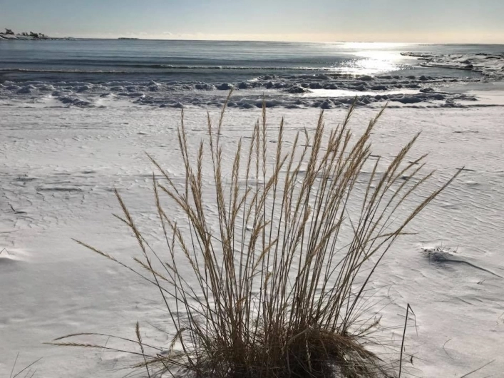 Degersand Camping - zdjęcie 4