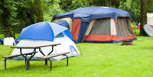 zobacz camping - zdjęcie 3