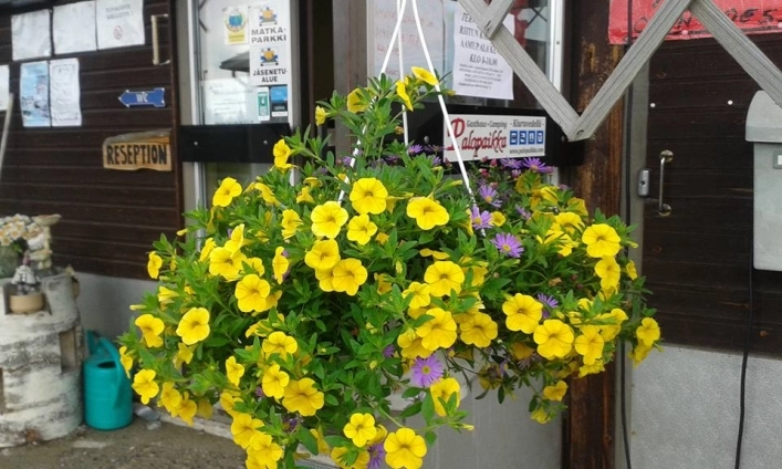 zobacz camping - zdjęcie 13