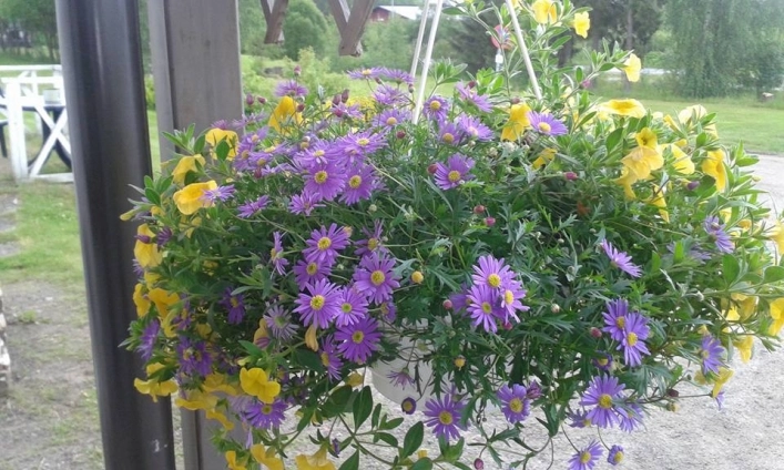 zobacz camping - zdjęcie 12