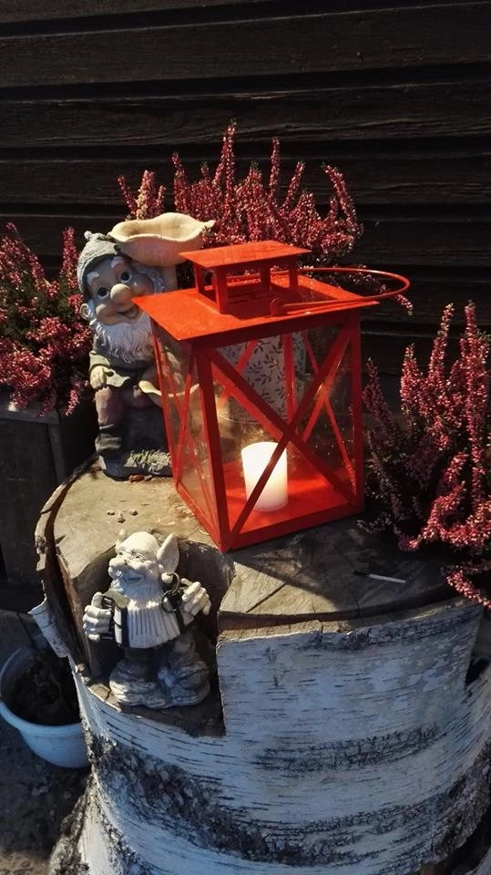 zobacz camping - zdjęcie 7