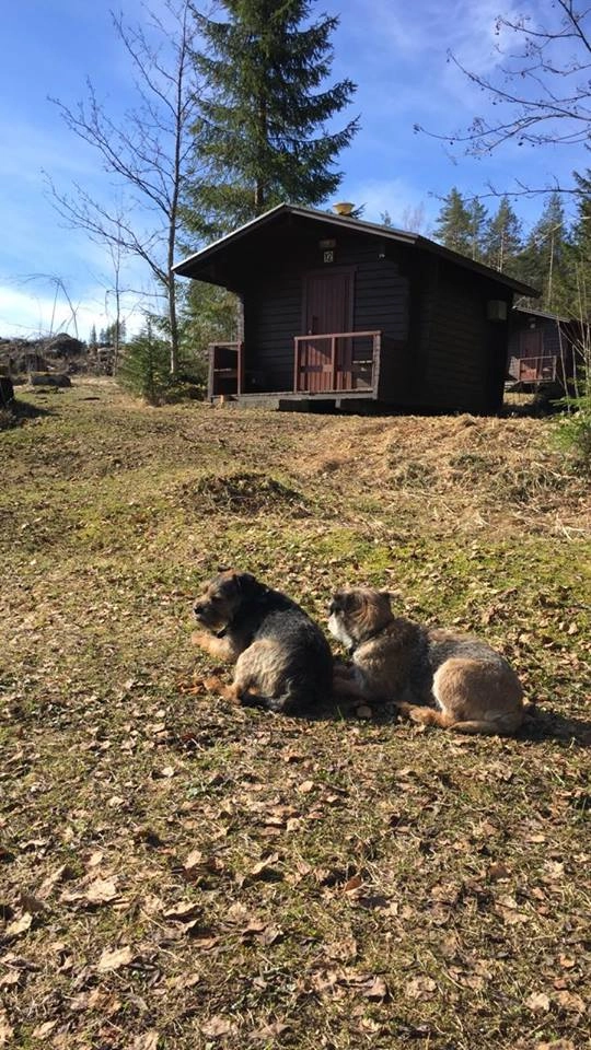 zobacz camping - zdjęcie 15