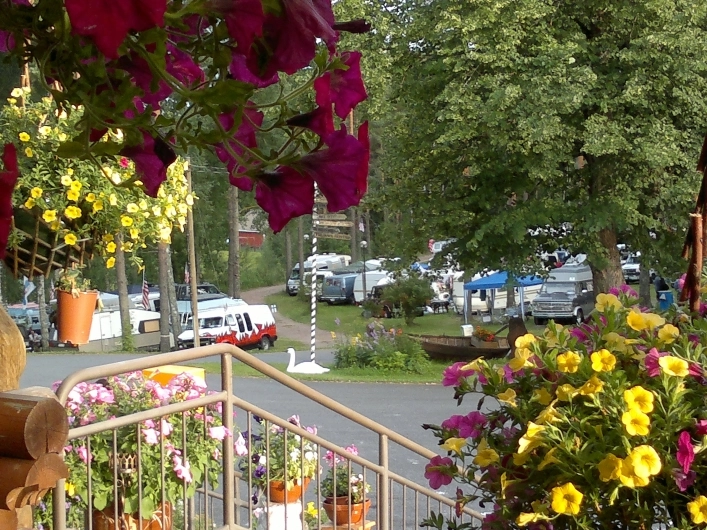 zobacz camping - zdjęcie 7