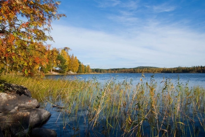 zobacz camping - zdjęcie 13