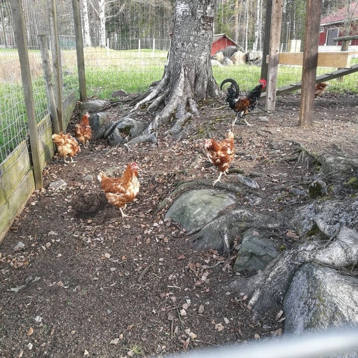 zobacz camping - zdjęcie 19