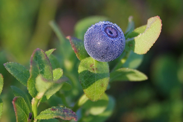 zobacz camping - zdjęcie 16