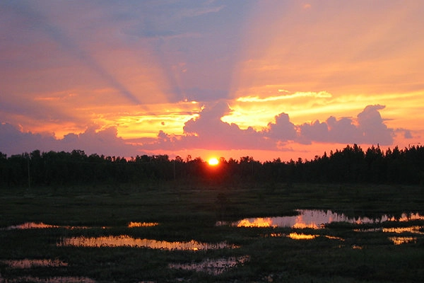 zobacz camping - zdjęcie 11