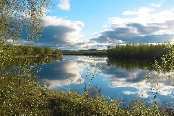 zobacz camping - zdjęcie 9