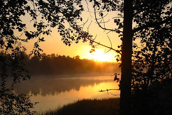 Jokitörmä Camping - zdjęcie 3