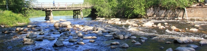 zobacz camping - zdjęcie 1