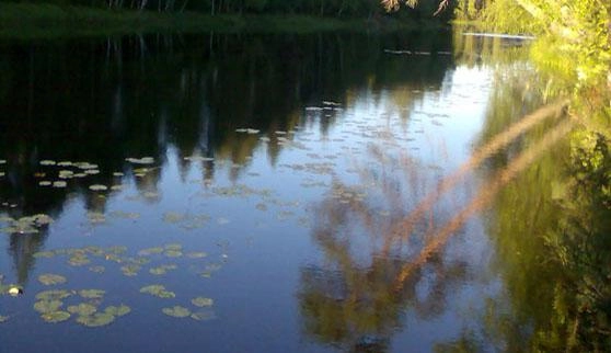 Jyrkkäkoski Camping - zdjęcie 2