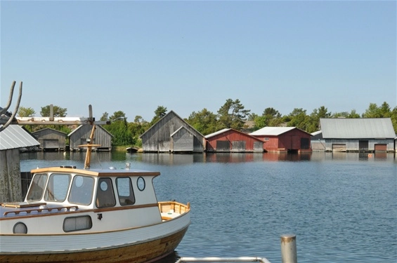 zobacz camping - zdjęcie 5