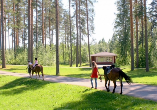 zobacz camping - zdjęcie 11