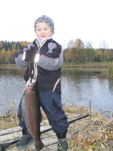 Karjalan Kievari Camping - zdjęcie 4