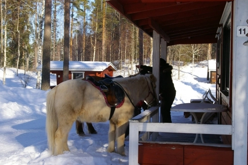 zobacz camping - zdjęcie 2