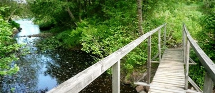 zobacz camping - zdjęcie 5