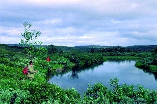 zobacz camping - zdjęcie 8