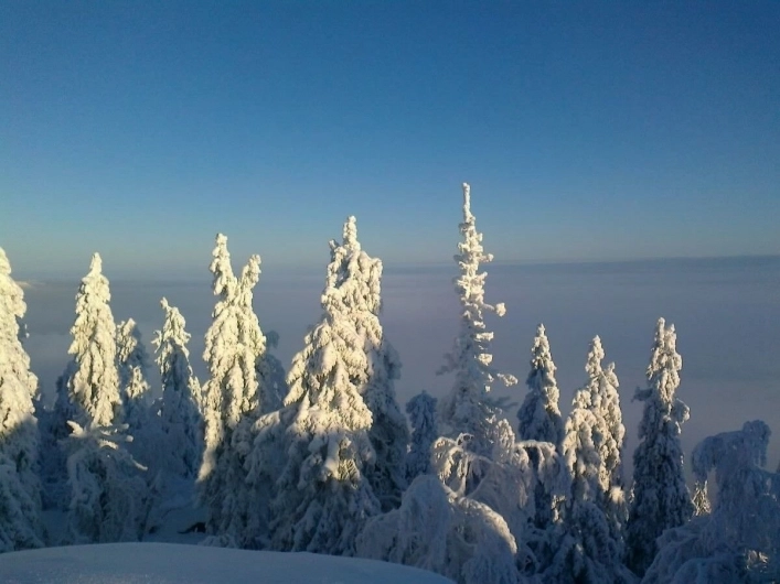 zobacz camping - zdjęcie 19