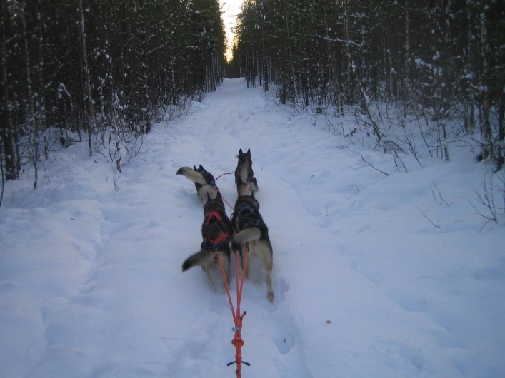 Korvala - zdjęcie 3