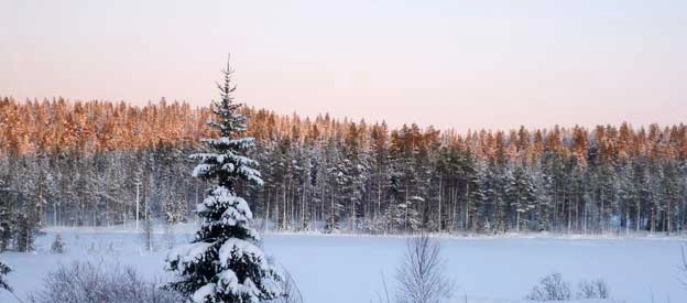 zobacz camping - zdjęcie 9