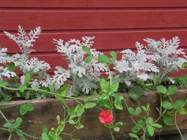 zobacz camping - zdjęcie 21