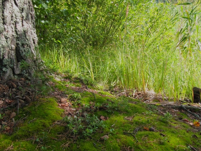 zobacz camping - zdjęcie 19