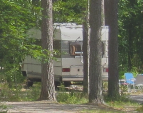 zobacz camping - zdjęcie 18