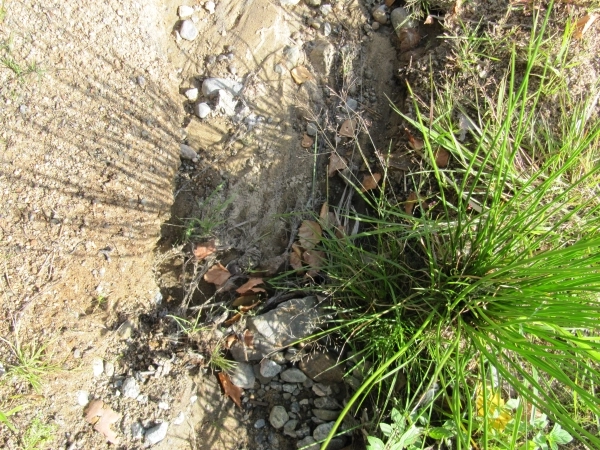 zobacz camping - zdjęcie 17