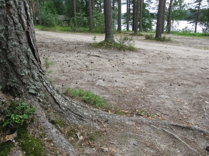 zobacz camping - zdjęcie 14