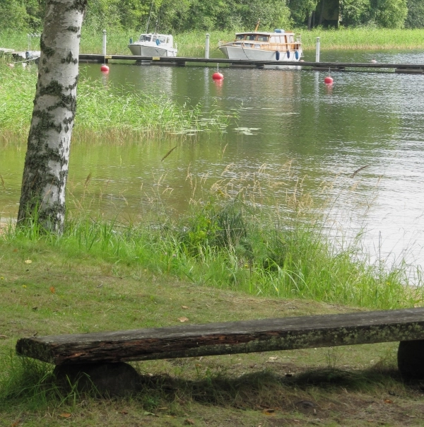 zobacz camping - zdjęcie 13