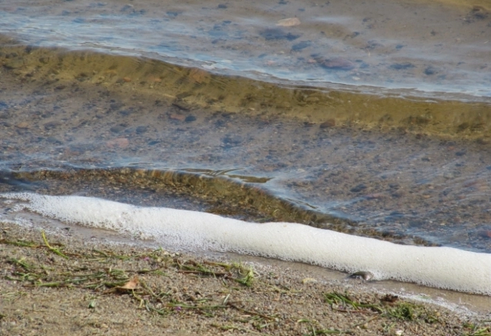 zobacz camping - zdjęcie 11