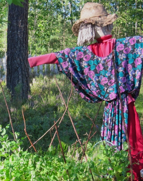 zobacz camping - zdjęcie 7