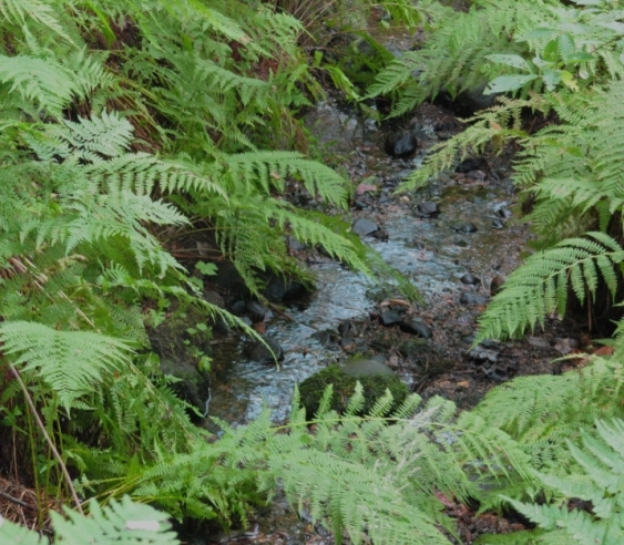 zobacz camping - zdjęcie 6