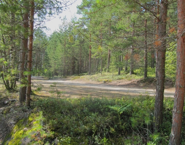 Lakeistenranta Camping - zdjęcie 4