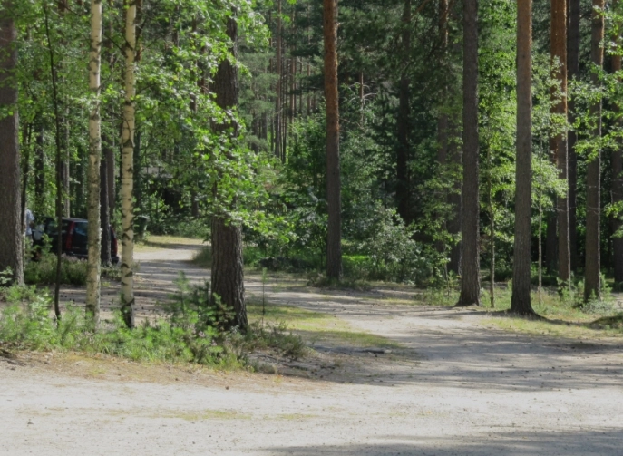 Lakeistenranta Camping - zdjęcie 1