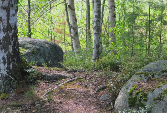 zobacz camping - zdjęcie 1