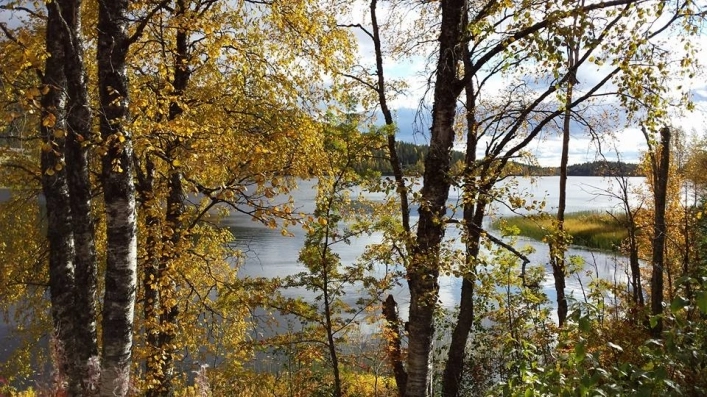 zobacz camping - zdjęcie 19