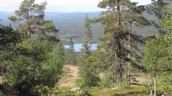 zobacz camping - zdjęcie 9