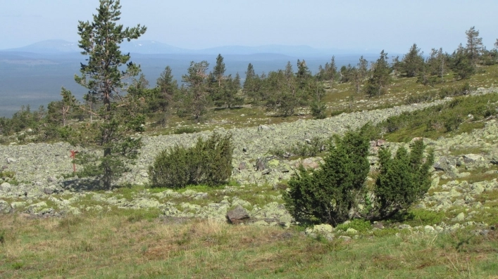 zobacz camping - zdjęcie 8