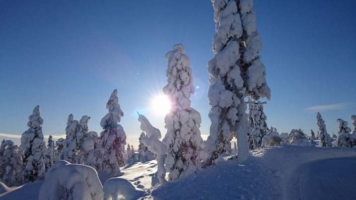 zobacz camping - zdjęcie 6