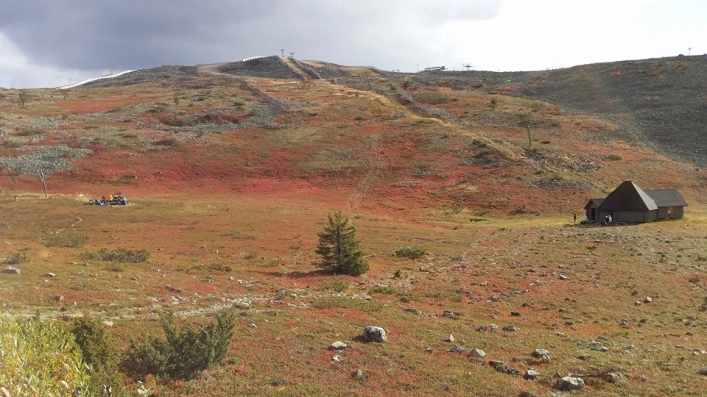 zobacz camping - zdjęcie 1