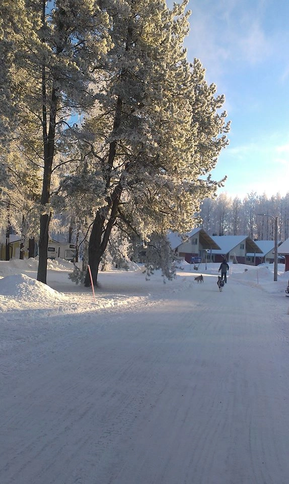 zobacz camping - zdjęcie 10