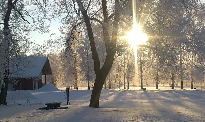 Linnunlahti Camping - zdjęcie 1