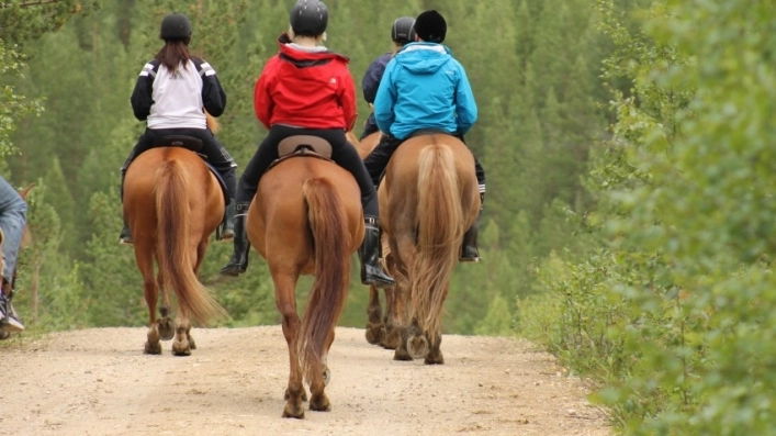 zobacz camping - zdjęcie 17