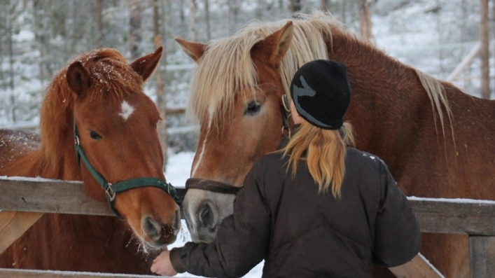 Lomakylä Inari - zdjęcie 1