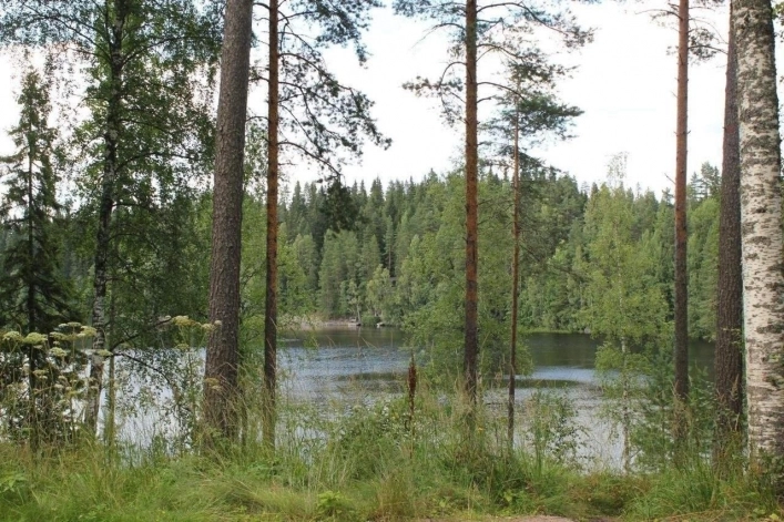 zobacz camping - zdjęcie 9