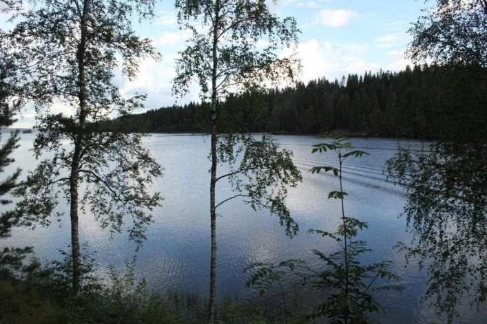 zobacz camping - zdjęcie 5