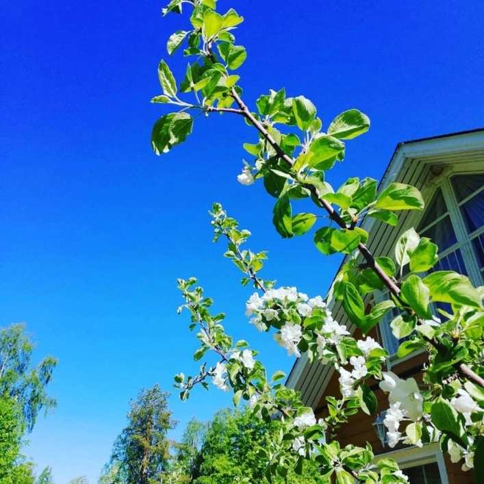 zobacz camping - zdjęcie 1